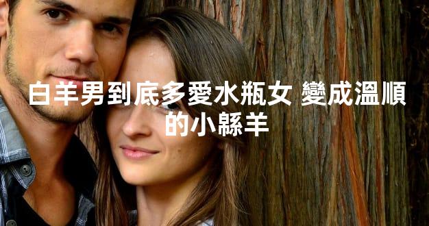 白羊男到底多愛水瓶女 變成溫順的小緜羊